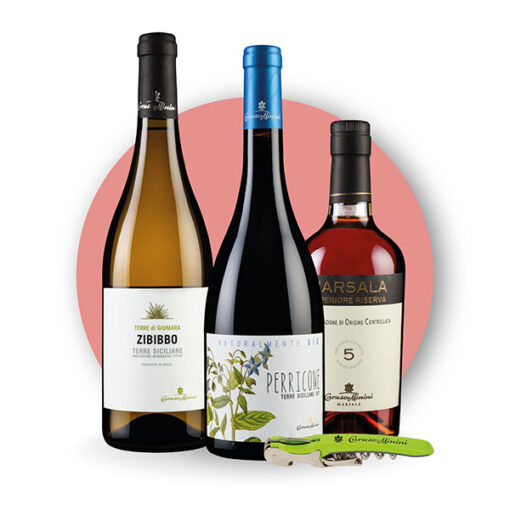 Degustazione virtuale di vini